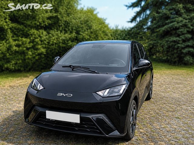 BYD Dolphin Surf
